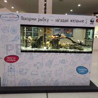 Рекламно - развлекательный аппарат Море желаний