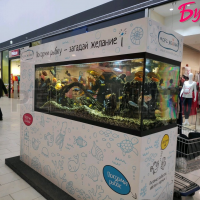 Рекламно - развлекательный аппарат Море желаний