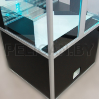 Призовой автомат Монетка + скат