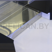 Призовой автомат Монетка + скат