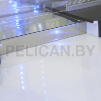 Призовой автомат Монетка + скат