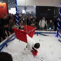 Аттракцион МЕГА - Хватай-ка с ребенком ( вариант 3 х 3 метра)