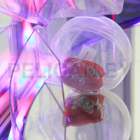 Призовой автомат 'Супер Диско-3'