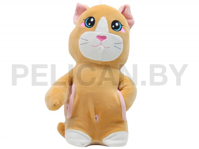 КОТ С КАРМАШКАМИ РЫЖИЙ