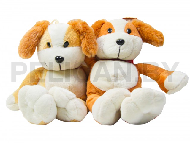 ЩЕНОК ВЕСЕЛЫЙ