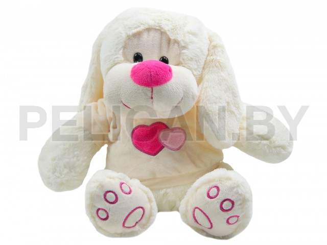 СОБАКА В ФУТБОЛКЕ С РОЗОВЫМ НОСОМ