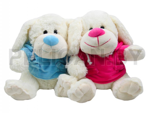 ЩЕНОК В ЯРКОЙ ТОЛСТОВКЕ