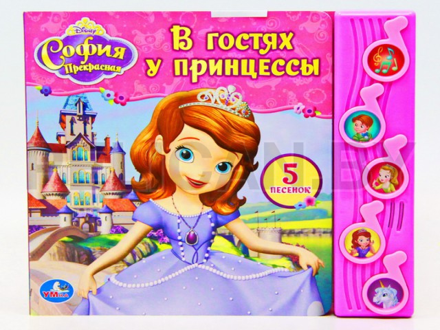 КНИГА ПРИНЦЕССА СОФИЯ. В ГОСТЯХ У ПРИНЦЕССЫ