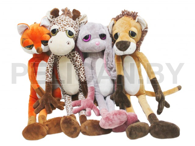 ЗООПАРК ДЛИННЫЙ С БОЛЬШИМИ ГЛАЗАМИ