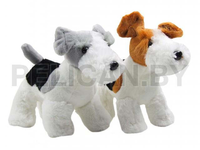 ФОКСТЕРЬЕР