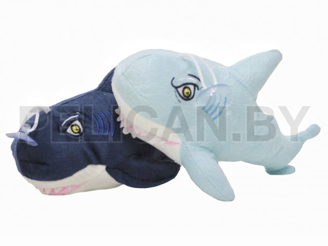 АКУЛА ЗУБАСТАЯ