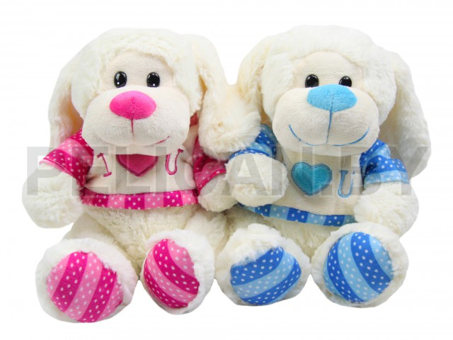 ЩЕНОК В КОФТОЧКЕ