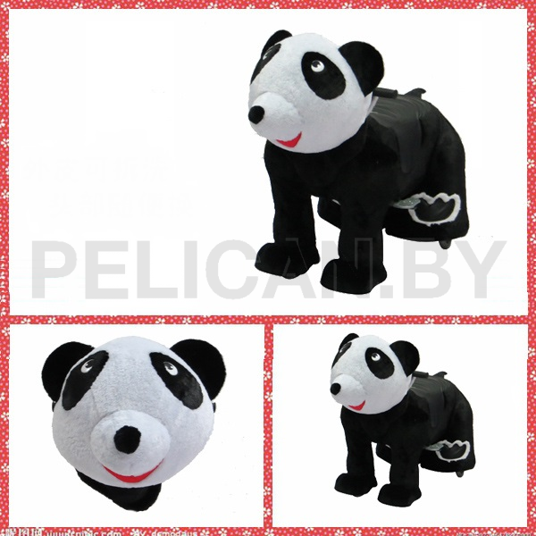 Bear (модель DW06)