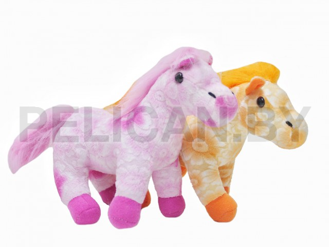 ЛОШАДКА РАЗНОЦВЕТНАЯ