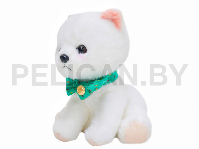 ЩЕНОК БЕЛОСНЕЖНЫЙ