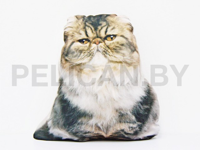 КОТ ПЕРСИДСКИЙ