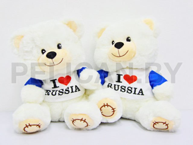 МИШУТКА В ФУТБОЛКЕ