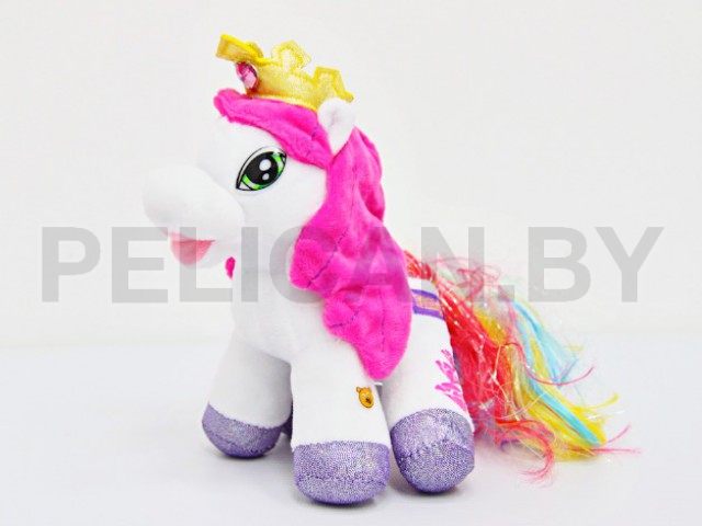 ПОНИ РАДУГА