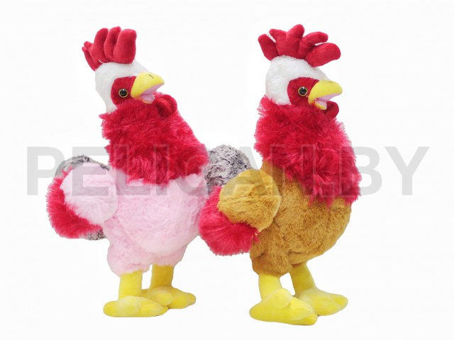 ПЕТУШОК ЯРКИЙ