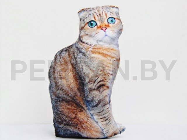 КОШКА ПОДУШКА