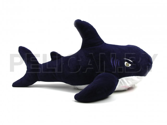 АКУЛА СИНЯЯ