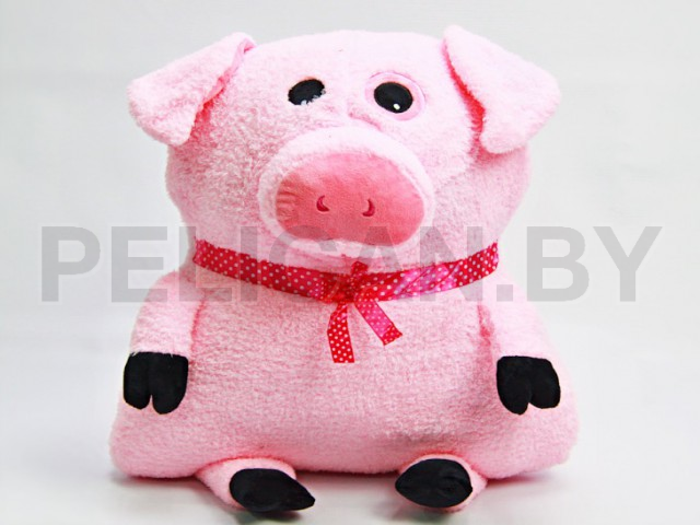 РЫБКИ КОРАЛЛОВЫЕ