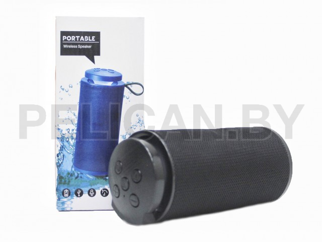 КОЛОНКА ПОРТАТИВНАЯ