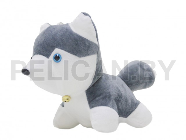 СОБАКА ХАСКИ