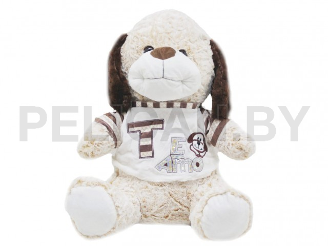 СОБАЧКА В КОФТОЧКЕ