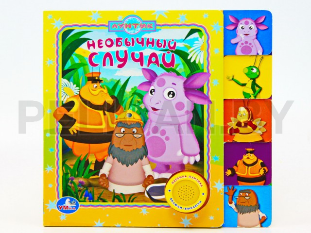 КНИГА ЛУНТИК. НЕОБЫЧНЫЙ СЛУЧАЙ